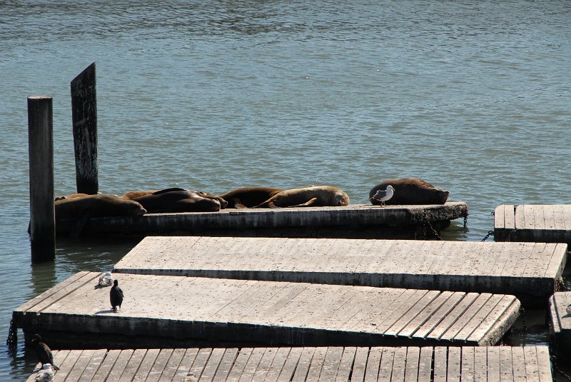 2011-07-18_San Francisco-Tag24_145.jpg